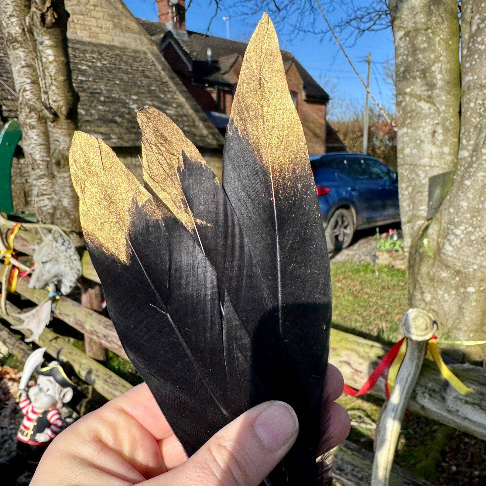 Black feather gold feather witchy quill photo prop 7 - 12cm UK - Enchanted Fables