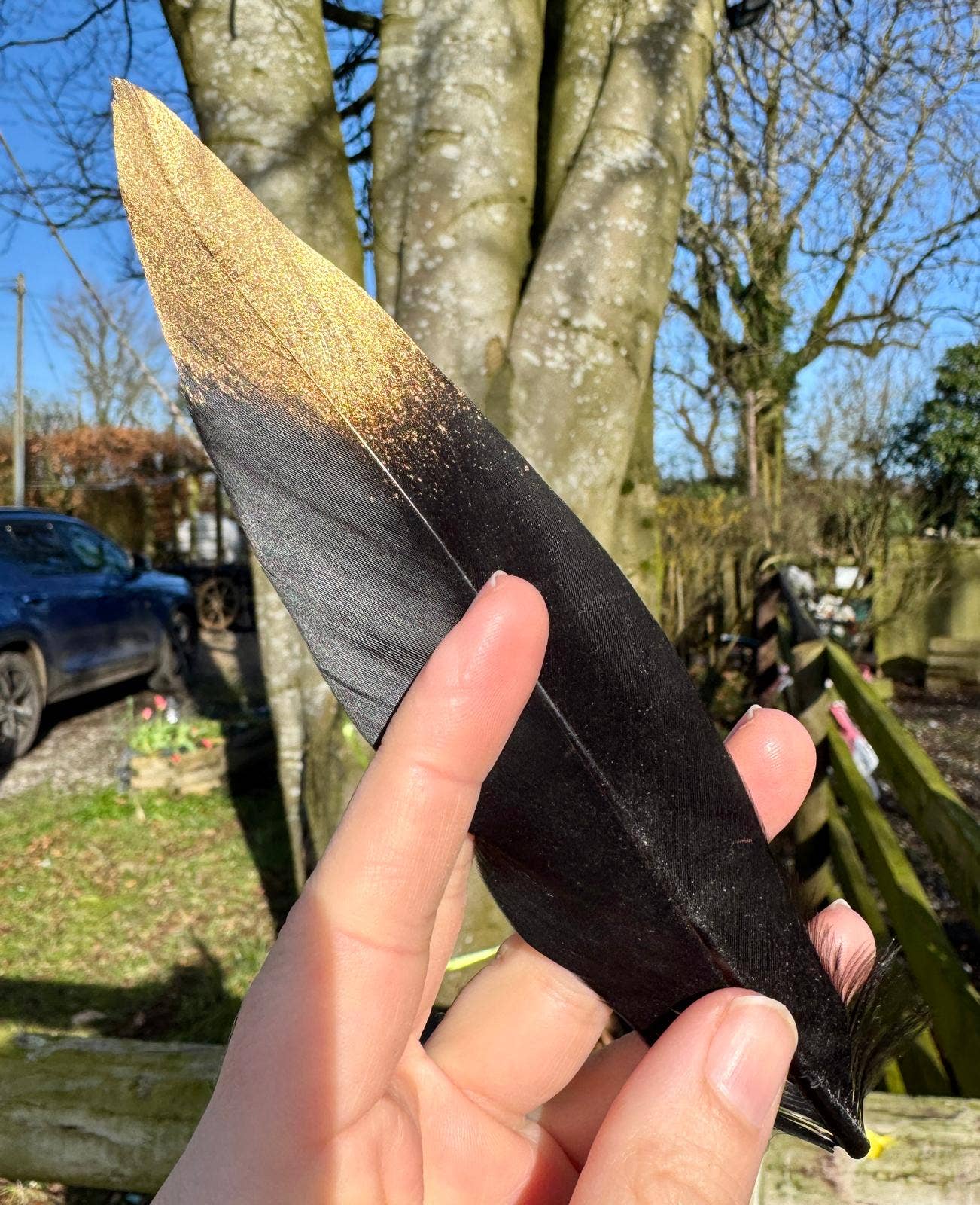 Black feather gold feather witchy quill photo prop 7 - 12cm UK - Enchanted Fables