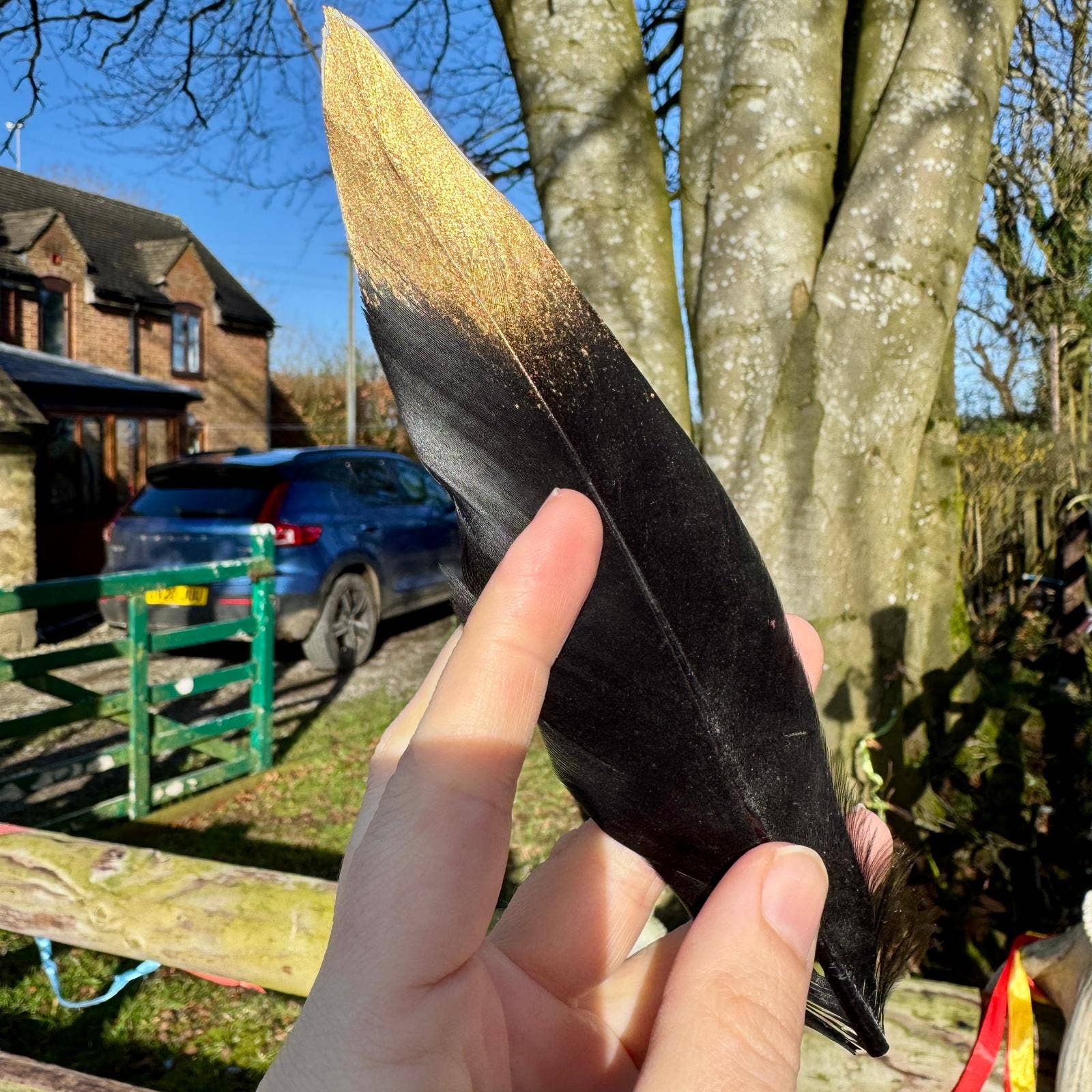 Black feather gold feather witchy quill photo prop 7 - 12cm UK - Enchanted Fables