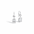 Crystal Frost Drop Earrings - Enchanted Fables